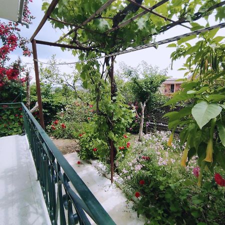 Corfu Countryside Apartment Potamos  Luaran gambar