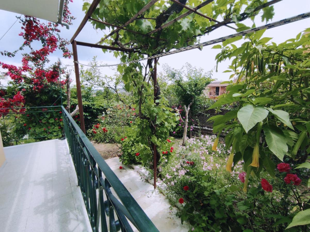 Corfu Countryside Apartment Potamos  Luaran gambar